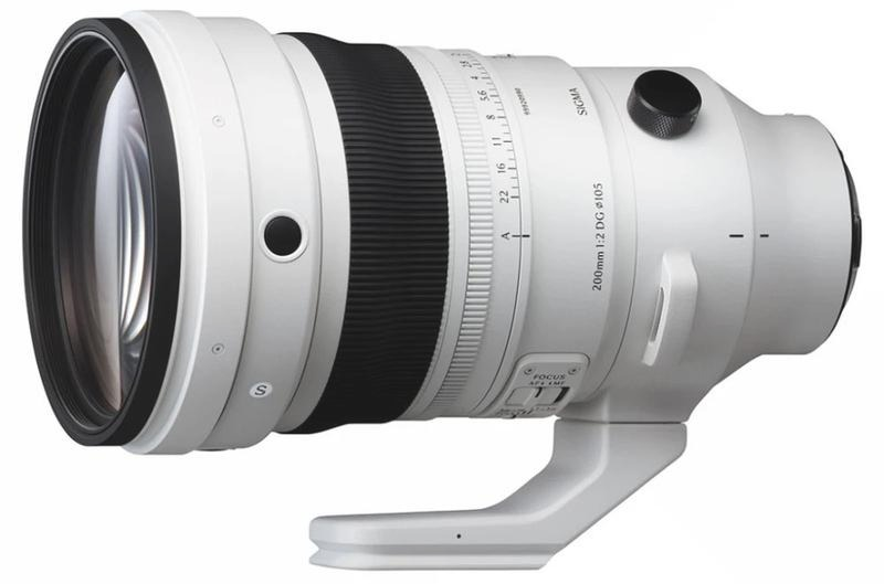 Jaki obiektyw wybrać do fotografii? Unikaj błędów i dobierz go świadomie